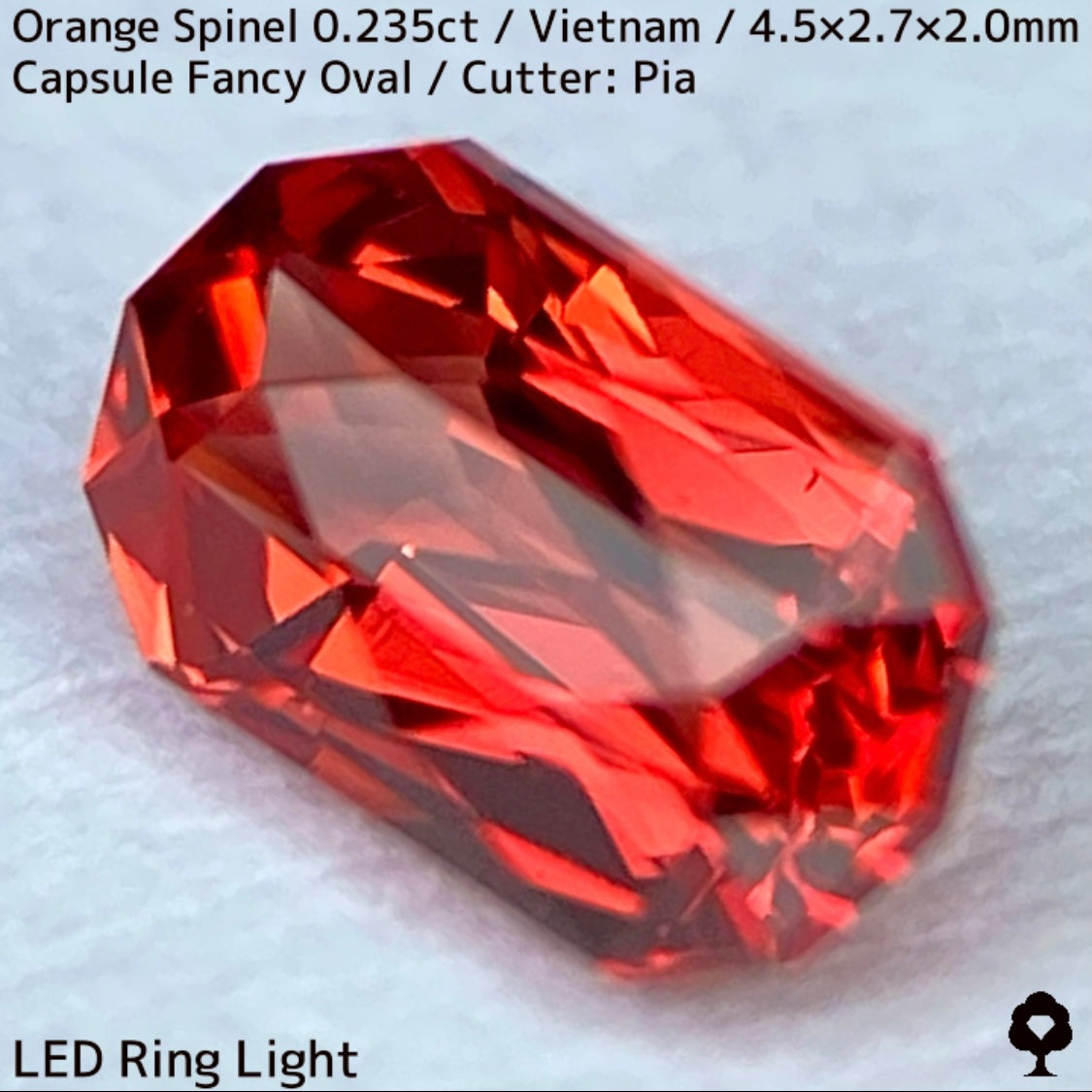 ベトナム産オレンジスピネル0.235ct★超美結晶のカプセルシザースから強烈オレンジネオンの煌めき