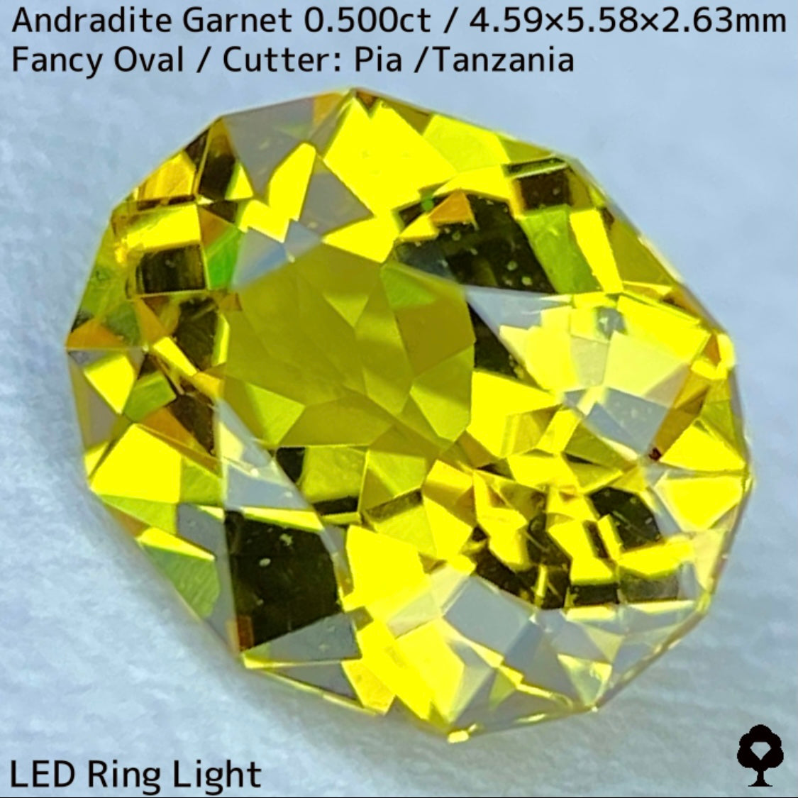 アンドラダイトガーネット0.500ct★強烈な煌めきとファイアー溢れるグリニッシュイエロー