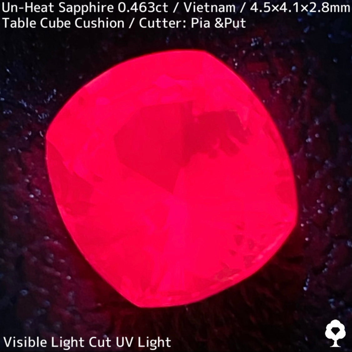 ベトナム産非加熱サファイア0.463ct★ベトナム産の魅力がたまりに詰まったウィンザー産のような美パープリッシュピンク