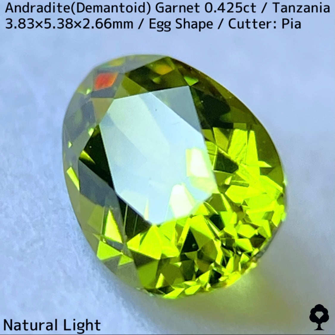 タンザニア産アンドラダイト(デマントイド)ガーネット0.425ct★程よい濃さの美グリーンから煌めき止まらないキュートなエッグシェイプ