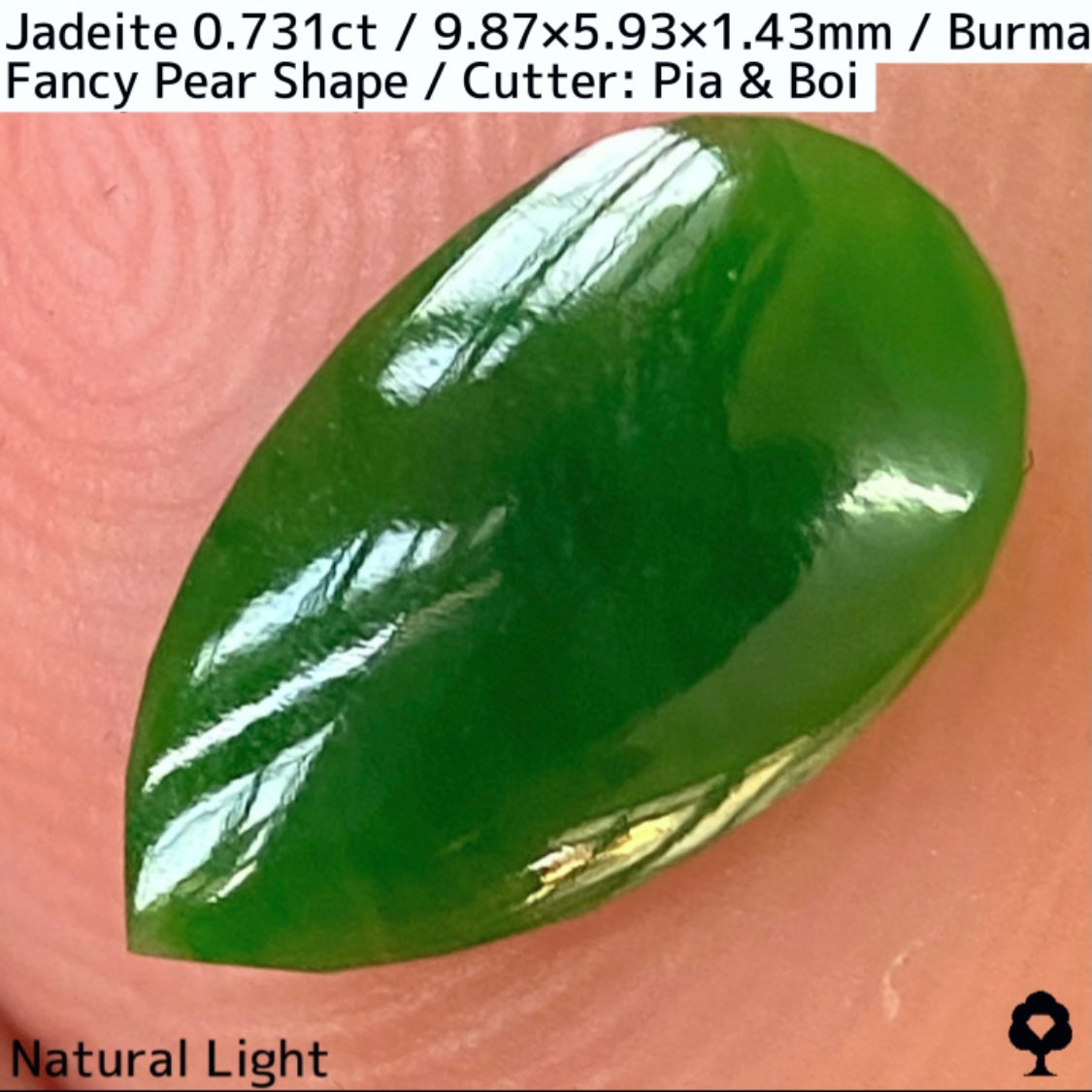 翡翠0.731ct★GTJ創業者大御所のセレクトのお手本翡翠に細やかな縁取り