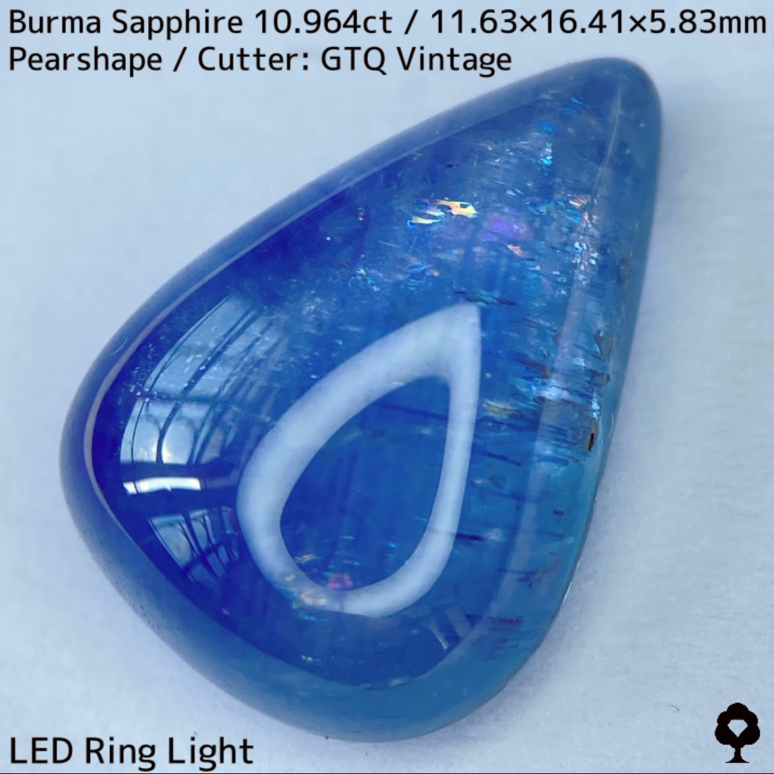 ビルマ産サファイア10.964ct★煌めく虹インクルと実はキャッツが出るなど面白さ詰まった秘蔵品