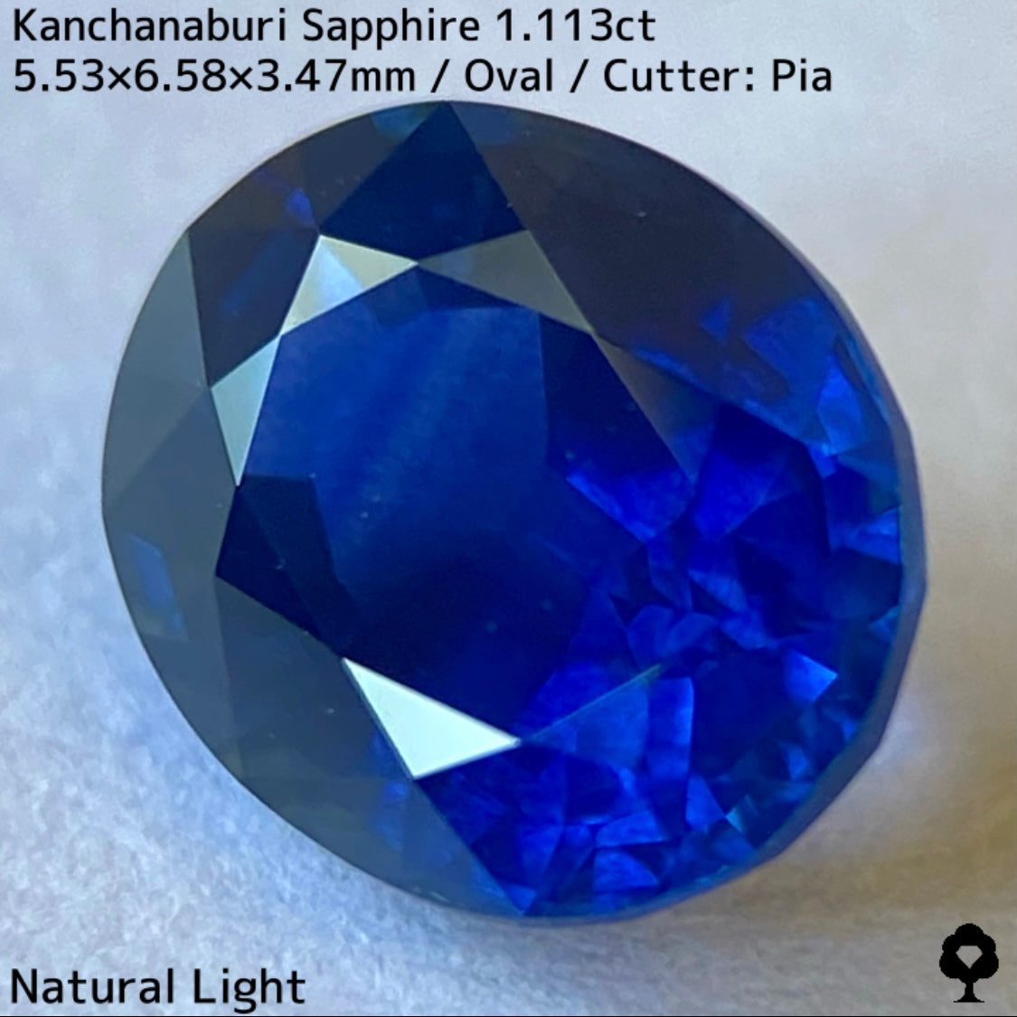カンチャナブリー産サファイア1.113ct★カンチャらしいシルキーでほんのりグリニッシュなブルーの希少1ctアップ