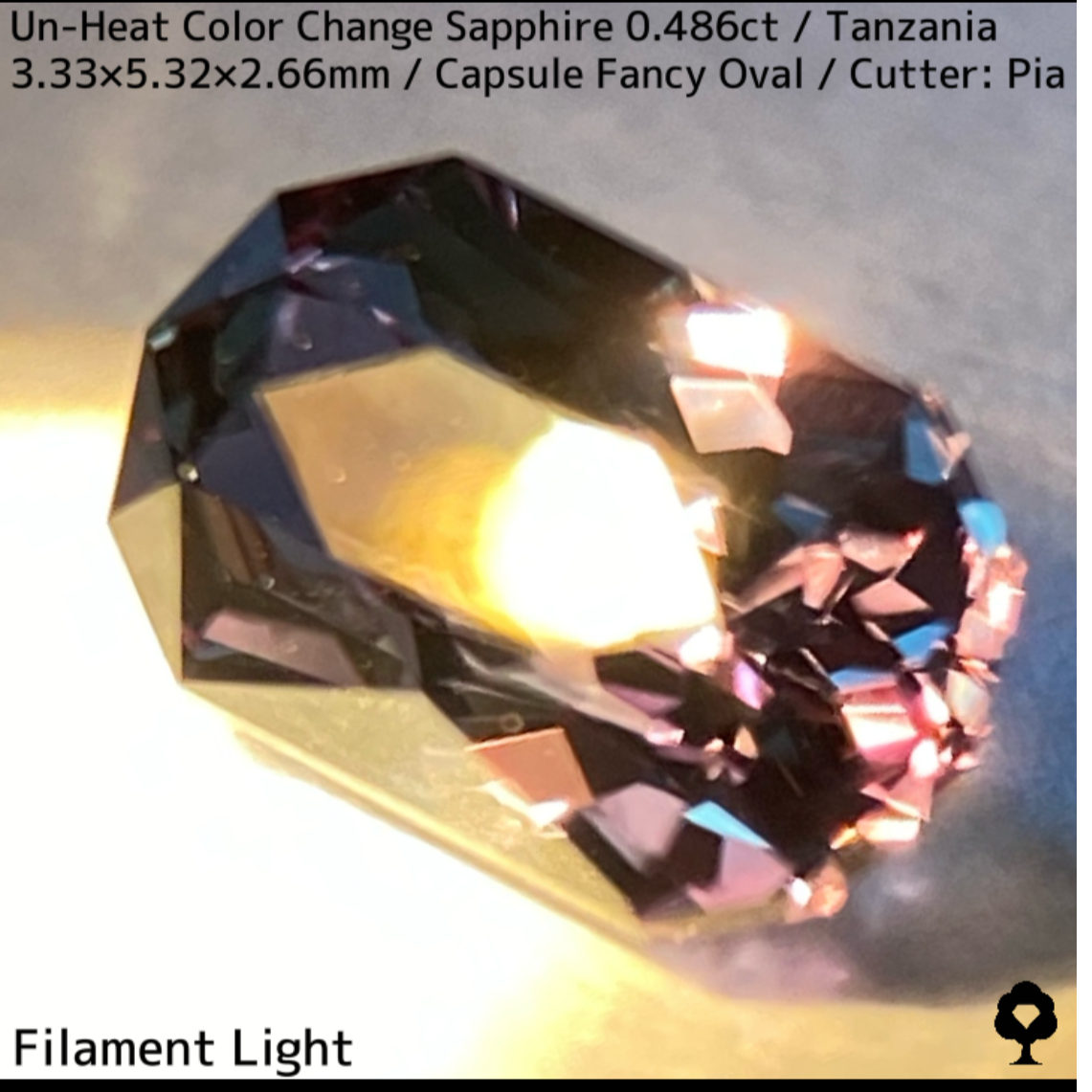 タンザニア産非加熱カラーチェンジサファイア0.486ct★深みの中に潜む多色感とゴールドシルクの銀河広がる