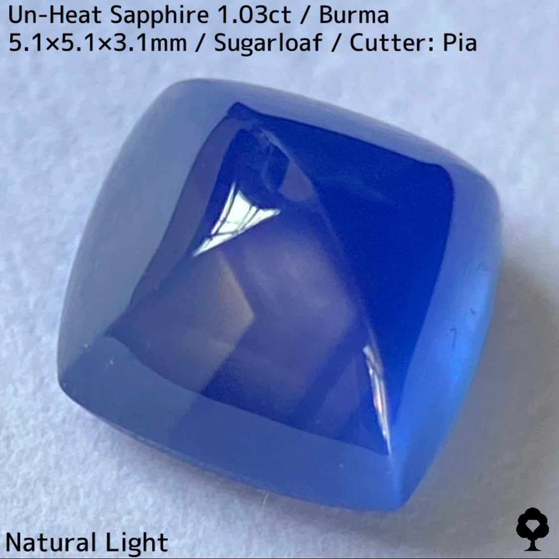 ビルマ産非加熱サファイア1.03ct★カット石品質の希少な結晶をあえてカボションにした可愛すぎるシュガーローフ