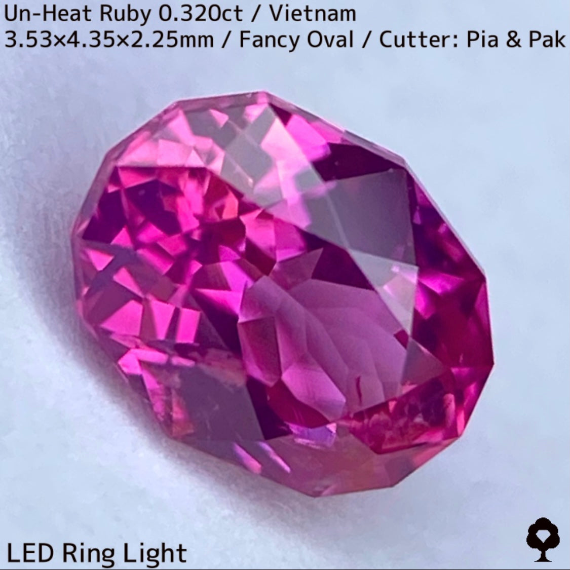 ベトナム産非加熱ルビー0.320ct★ネオンピンクの煌めき溢れる花咲くファンシーオーバル
