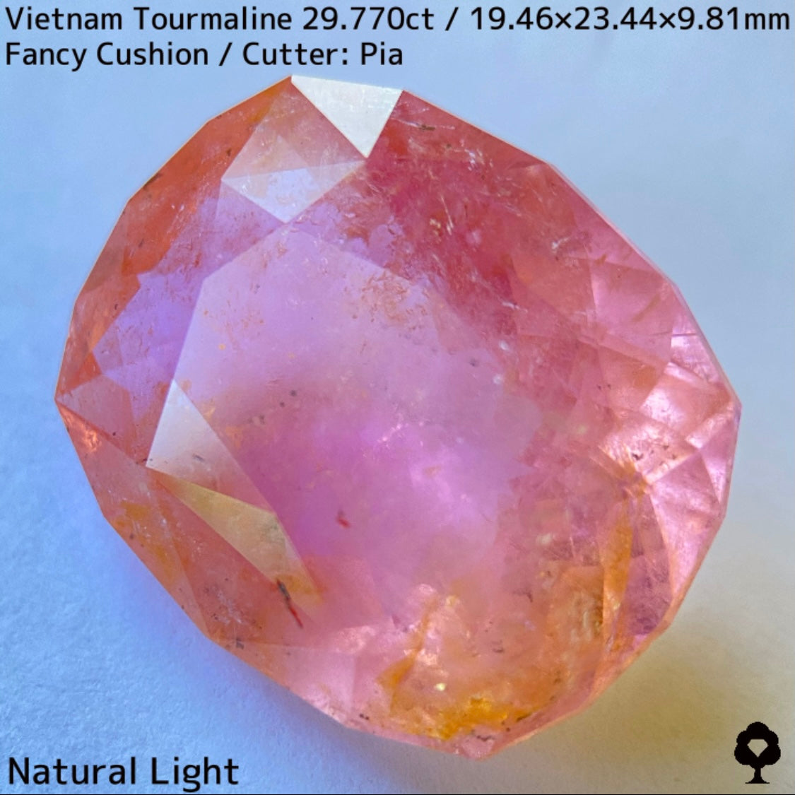 ベトナム産トルマリン29.770ct★華やかなベトナム産らしい桜満開巨石