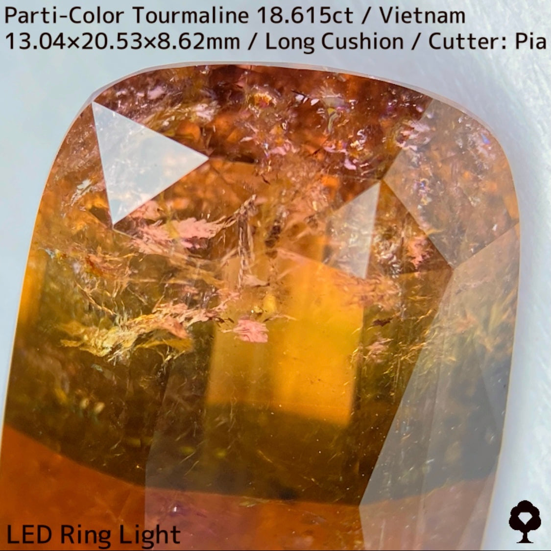 ベトナム産パーティカラートルマリン18.615ct★金屏風桜と夜桜を一石で楽しめる趣深いベトナム巨石