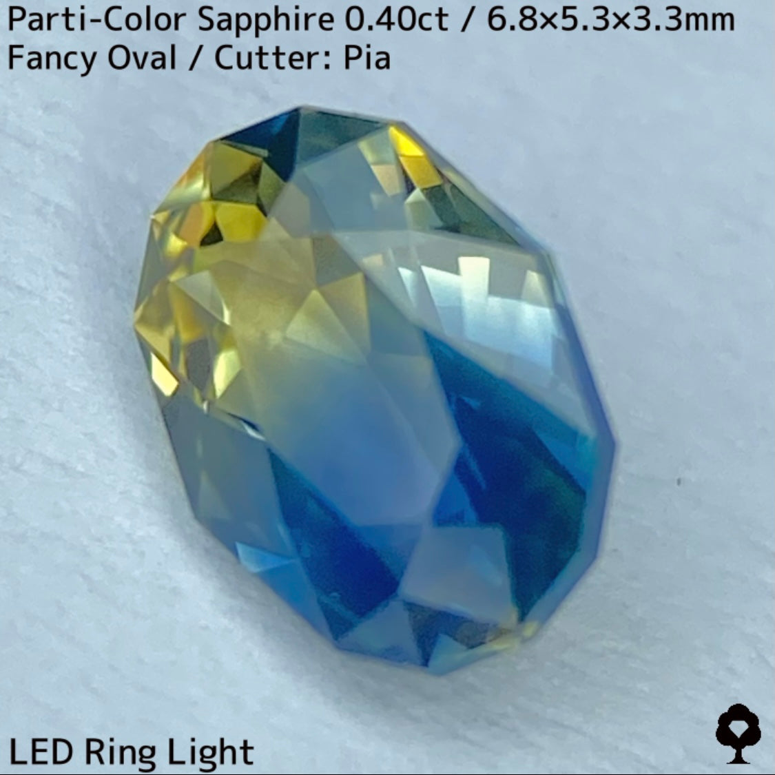 カンチャナブリー産パーティカラーサファイア0.40ct★鮮やかなイエローにシルキーブルーの色だまり