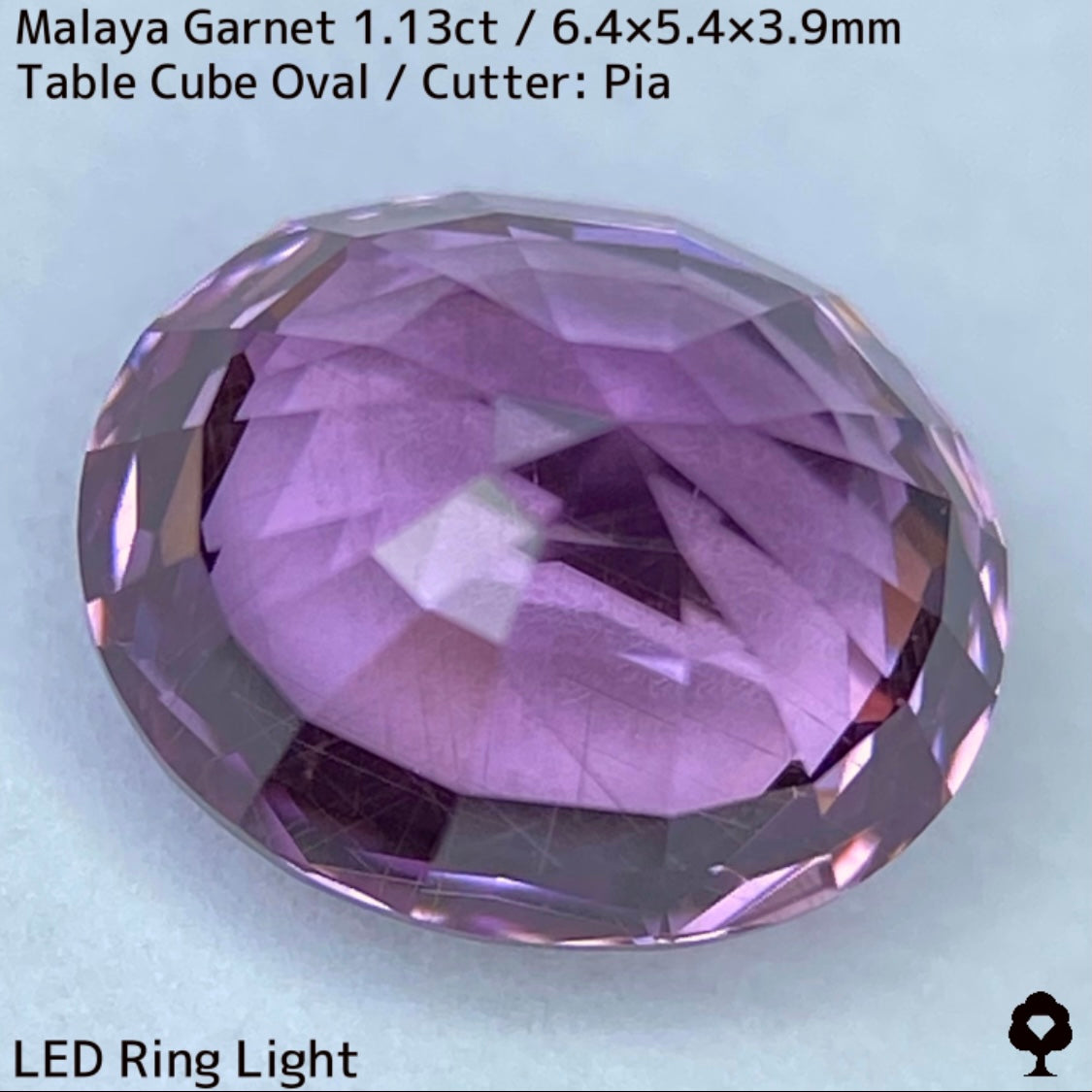 【ご当選者さま専用】マラヤガーネット1.13ct★光や時間によって変わる美ピンクの針インクル入り美結晶は煌きが止まらない