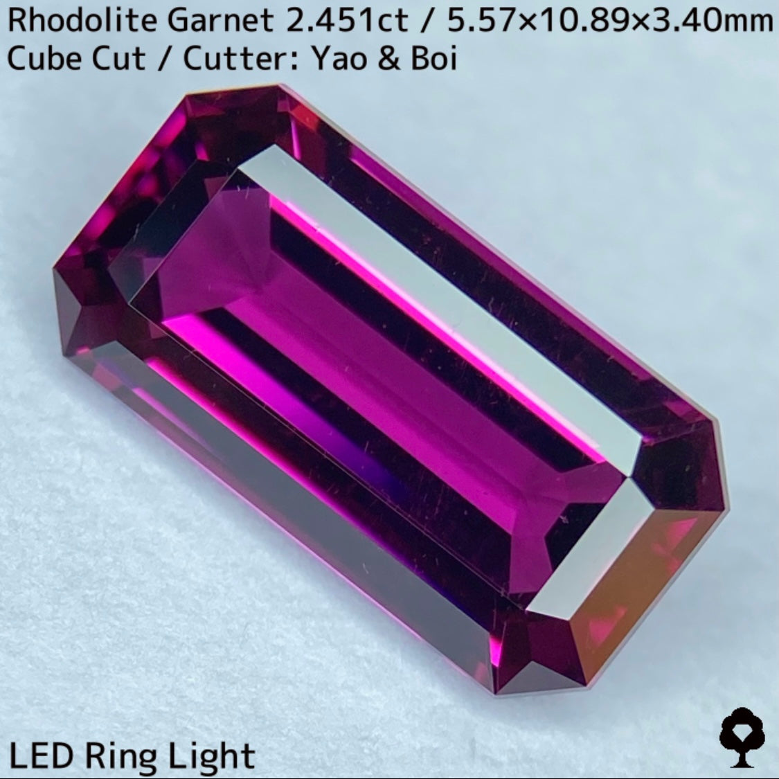 濃厚グレープピンクの堂々たる美結晶オクタゴン★ロードライトガーネット2.541ct