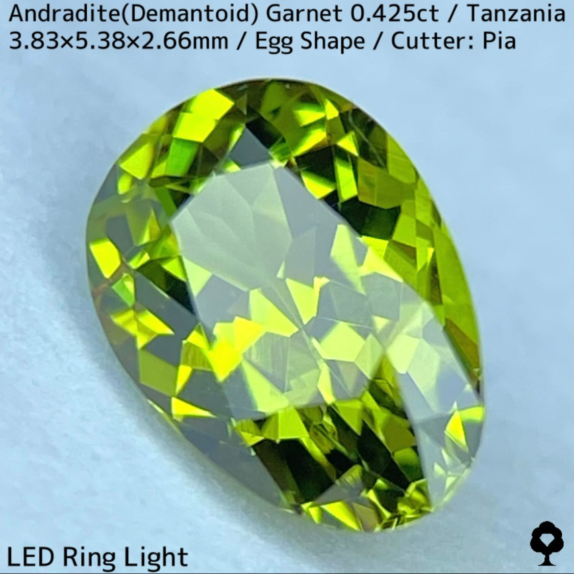 タンザニア産アンドラダイト(デマントイド)ガーネット0.425ct★程よい濃さの美グリーンから煌めき止まらないキュートなエッグシェイプ