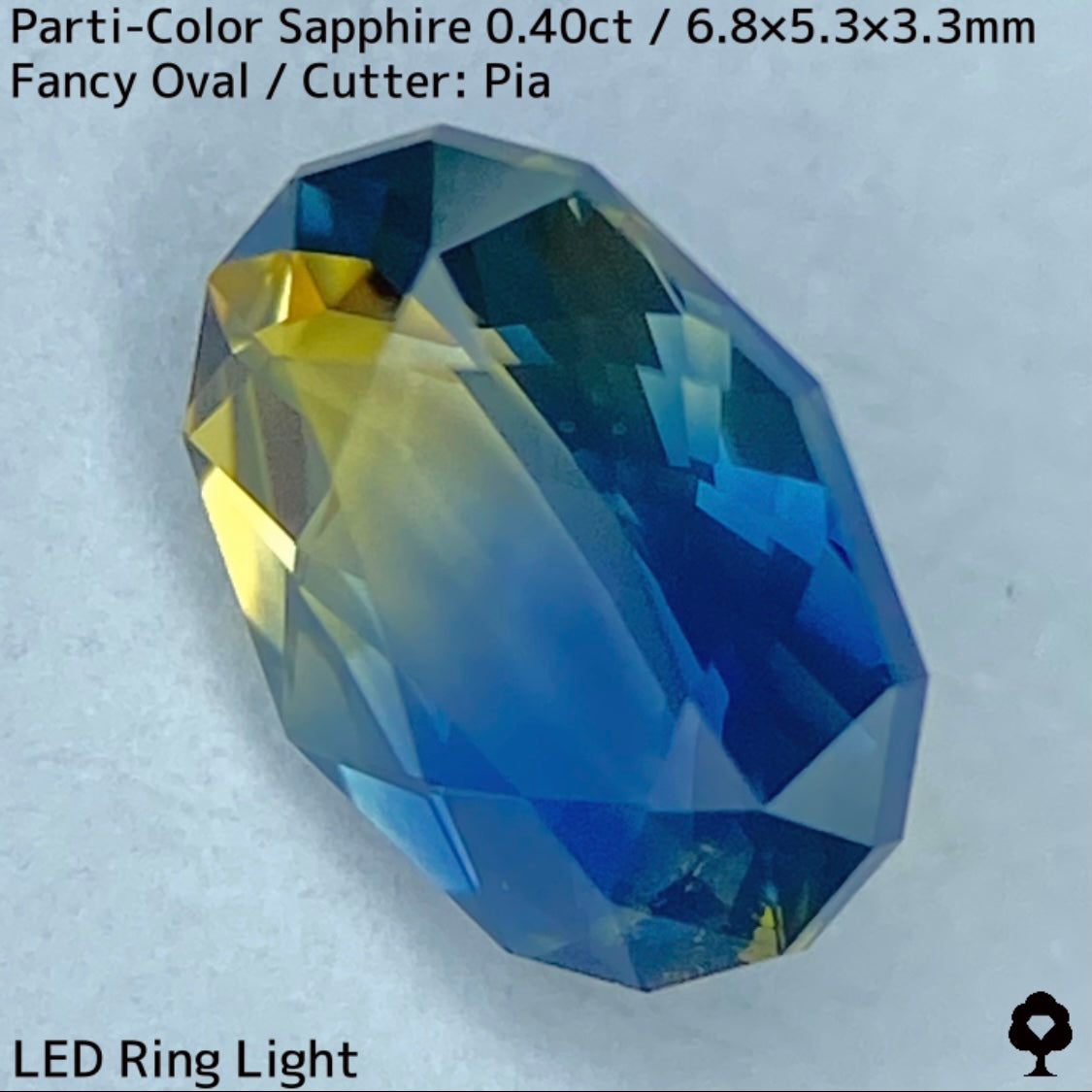 カンチャナブリー産パーティカラーサファイア0.40ct★鮮やかなイエローにシルキーブルーの色だまり