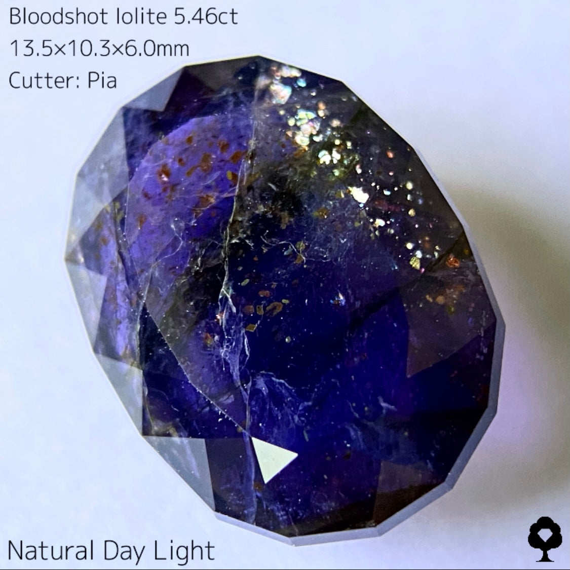 濃厚パープルに広がるカラフルな宇宙とブラッドショット★ブラッドショットアイオライト5.46ct