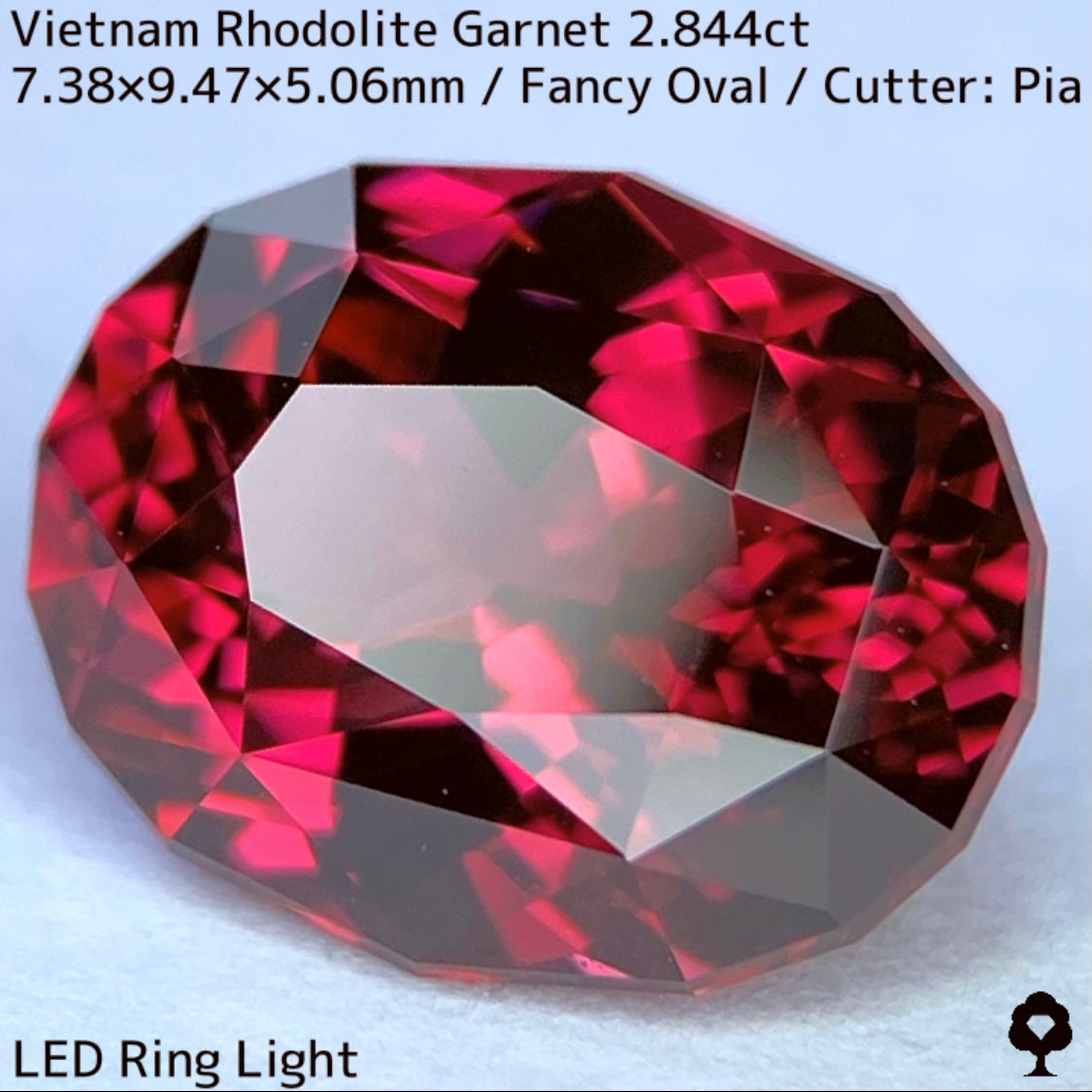 ベトナム産ロードライトガーネット2.844ct★ロードライトを愛する大御所がハマったベトナム産超美色