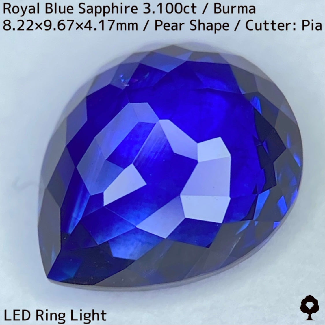 ビルマ産ロイヤルブルーサファイア3.100ct★ふっくらとした可愛いペアシェイプに仕上げられた趣ある超美色ロイヤルブルー