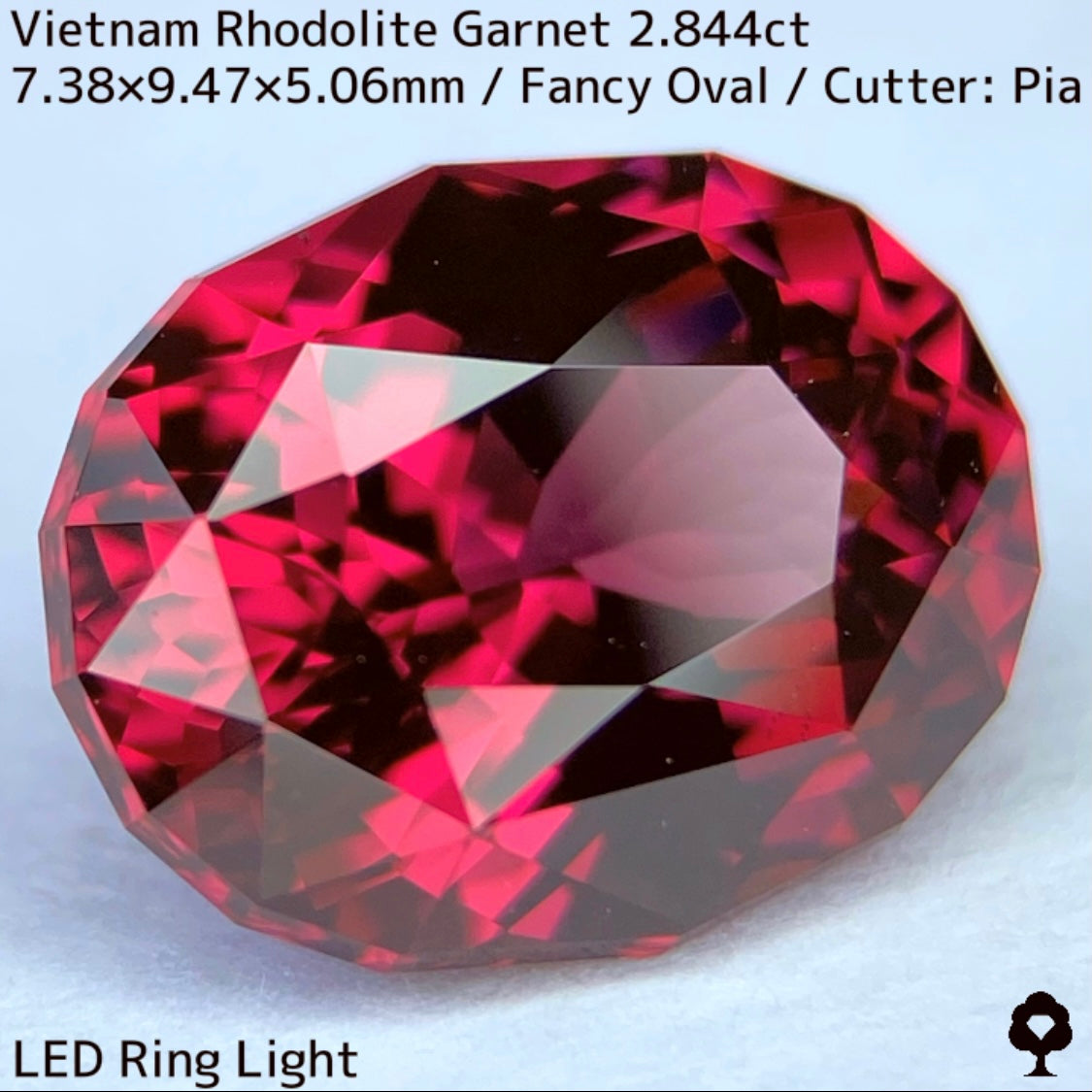 ベトナム産ロードライトガーネット2.844ct★ロードライトを愛する大御所がハマったベトナム産超美色