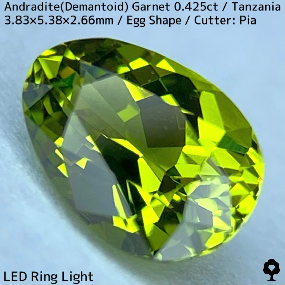 タンザニア産アンドラダイト(デマントイド)ガーネット0.425ct★程よい濃さの美グリーンから煌めき止まらないキュートなエッグシェイプ