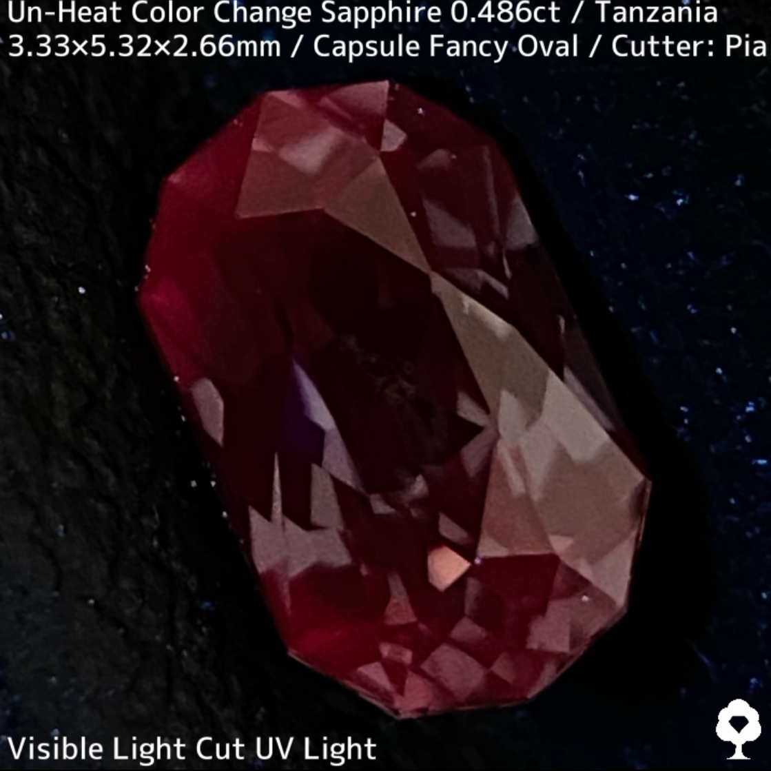 タンザニア産非加熱カラーチェンジサファイア0.486ct★深みの中に潜む多色感とゴールドシルクの銀河広がる