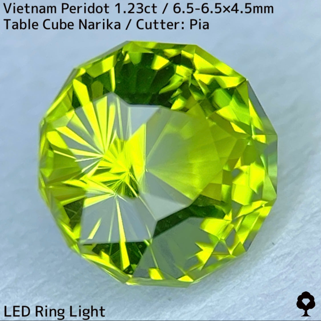 ベトナム産ペリドット1.23ct★煌めき抜群の美結晶をGTJの王道と言えるテーブルキューブナリカーに仕上げた一石
