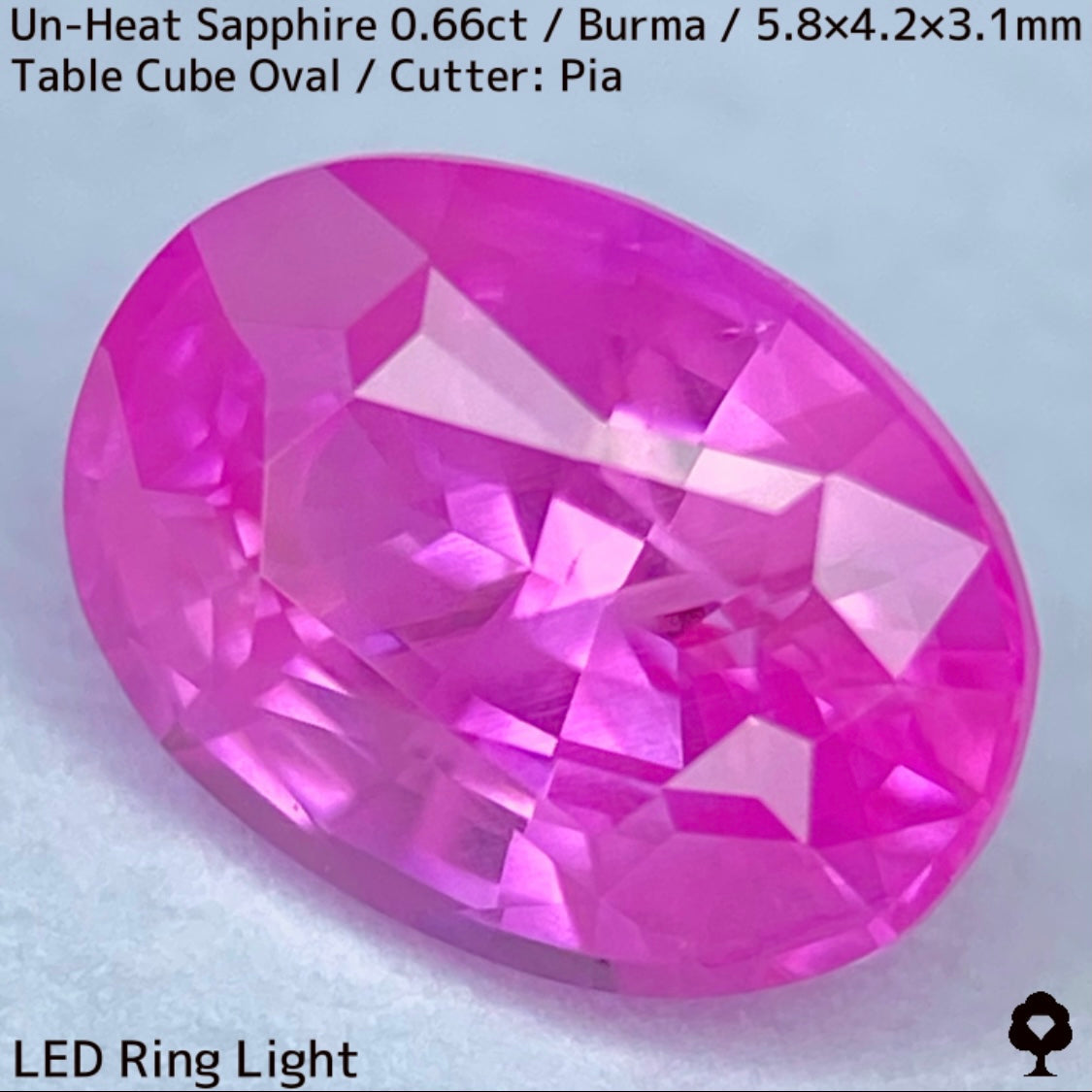 【お客さま専用】ビルマ産非加熱サファイア0.66ct★クリアさもあるシルキーピンクの可愛い強蛍光オーバル
