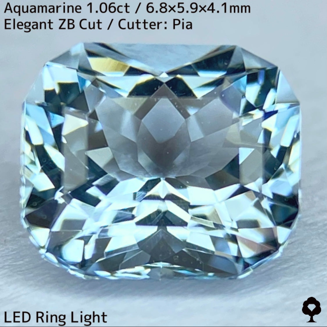 【お客さま専用】3月誕生石プライス★アクアマリン1.06ct★煌めき溢れるエレガントカットに宝石の形浮かぶZBカット
