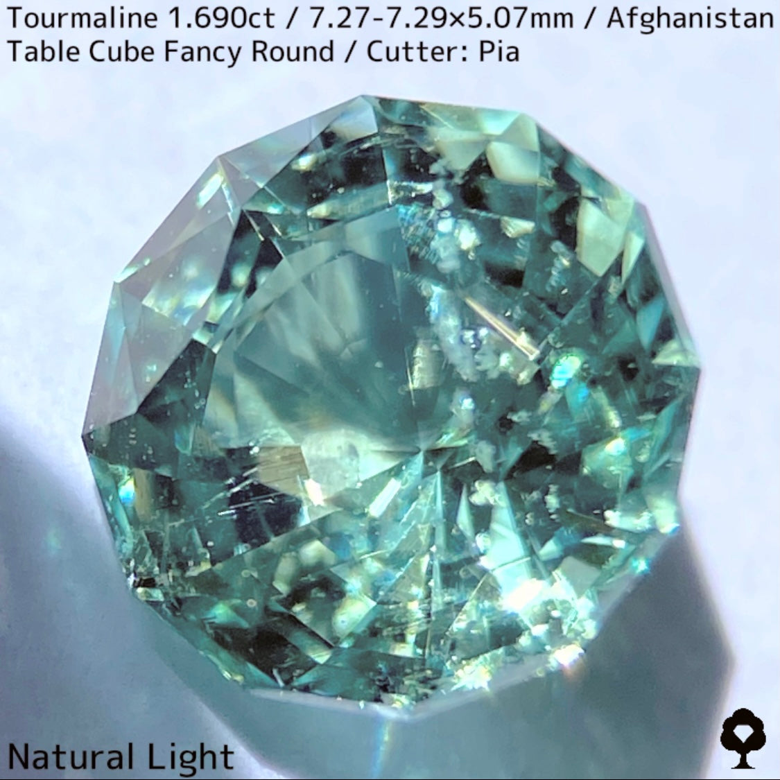 トルマリン1.690ct★美色ミントグリーンの煌めきがギラつくスパイダーカット