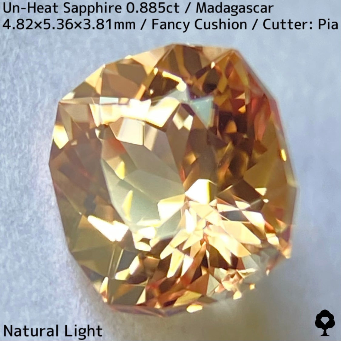 マダガスカル産非加熱サファイア0.885ct★インペリアルトパーズの様なシェリー感ある品と風格ある一石