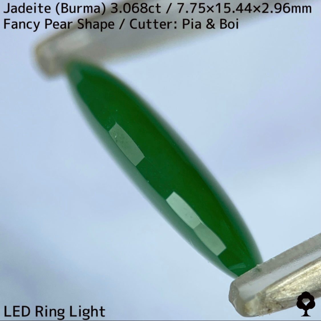 翡翠3.068ct★マスターストーンと言える濃色美グリーンのさりげなく輪郭が縁取られたツヤツヤファンシーペアシェイプ