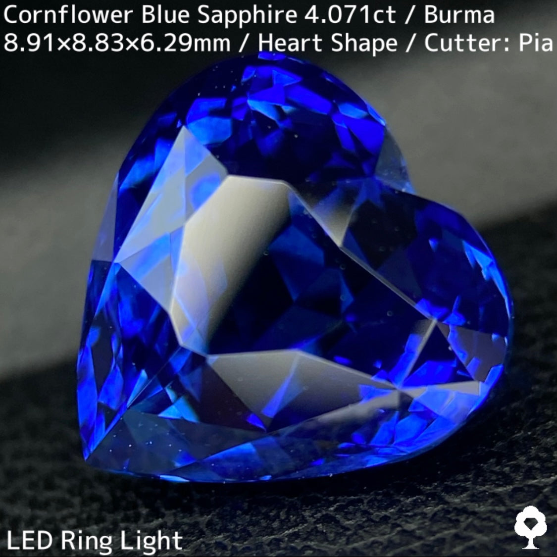ビルマ産コーンフラワーブルーサファイア4.071ct★ロイヤルブルー寄りの濃いめ最高コーンフラワーブルーが美しすぎる超一級品