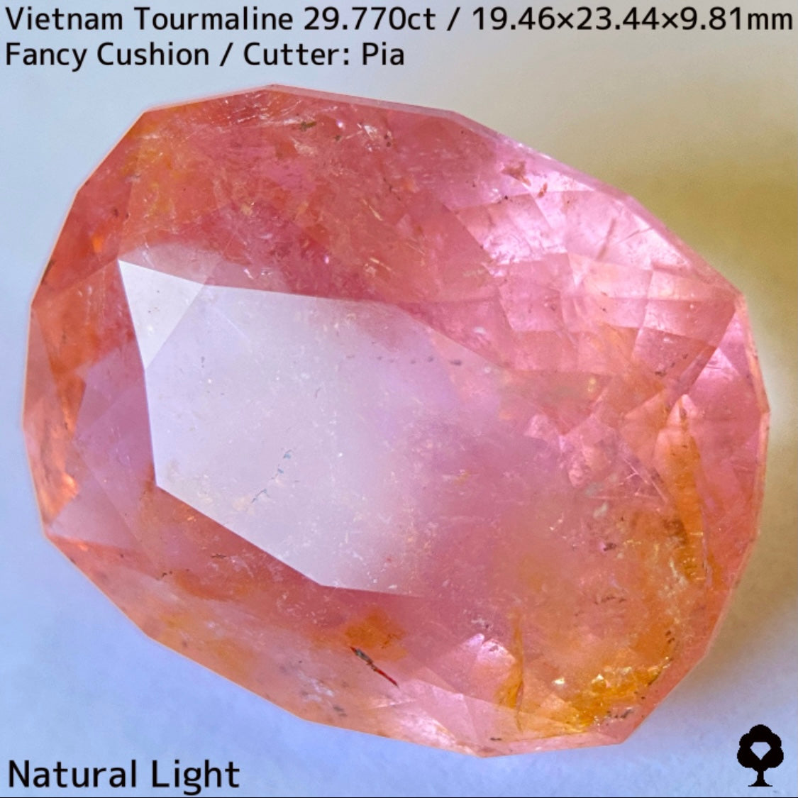 ベトナム産トルマリン29.770ct★華やかなベトナム産らしい桜満開巨石