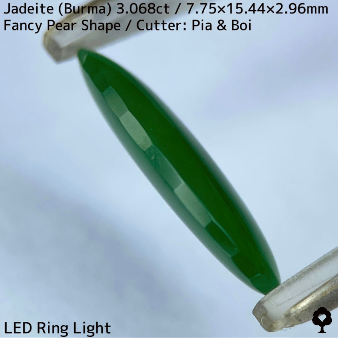 翡翠3.068ct★マスターストーンと言える濃色美グリーンのさりげなく輪郭が縁取られたツヤツヤファンシーペアシェイプ