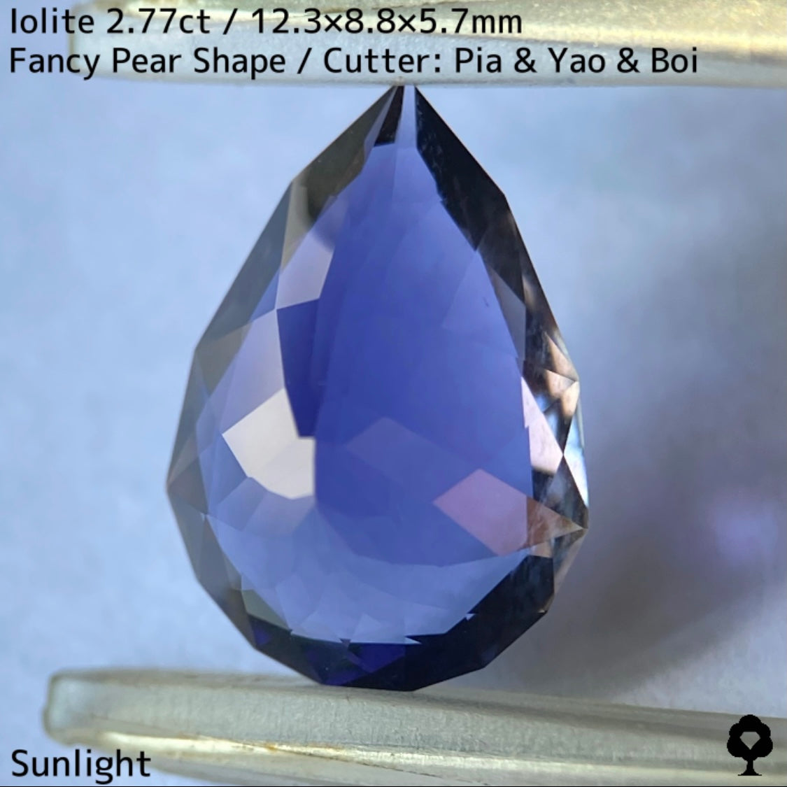 【お客さま専用】アイオライト2.77ct★お問合せ特別価格