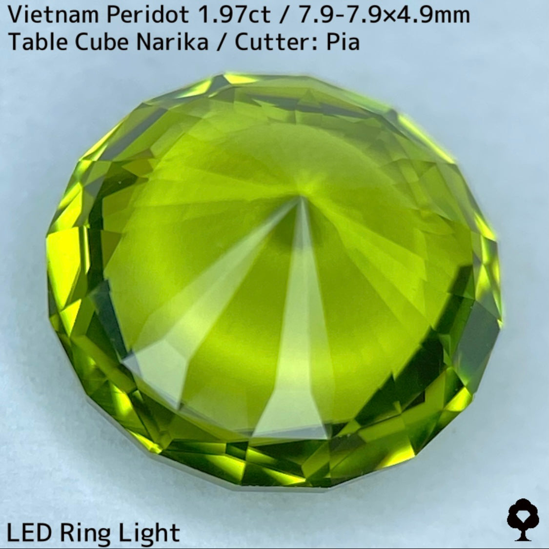ベトナム産ペリドット1.97ct★さりげなくリリーパッドとシルキーさのある煌めき発色抜群のナリカーカット★