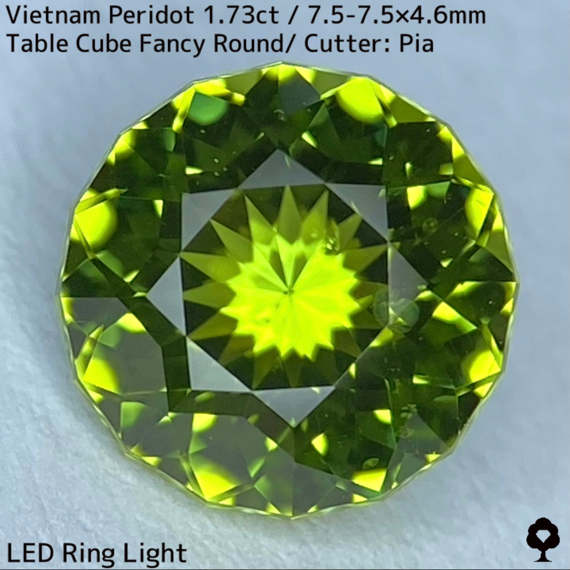ベトナム産ペリドット1.73ct★リリーパッド浮かぶ万華鏡のような美しいフラワーカット美色結晶