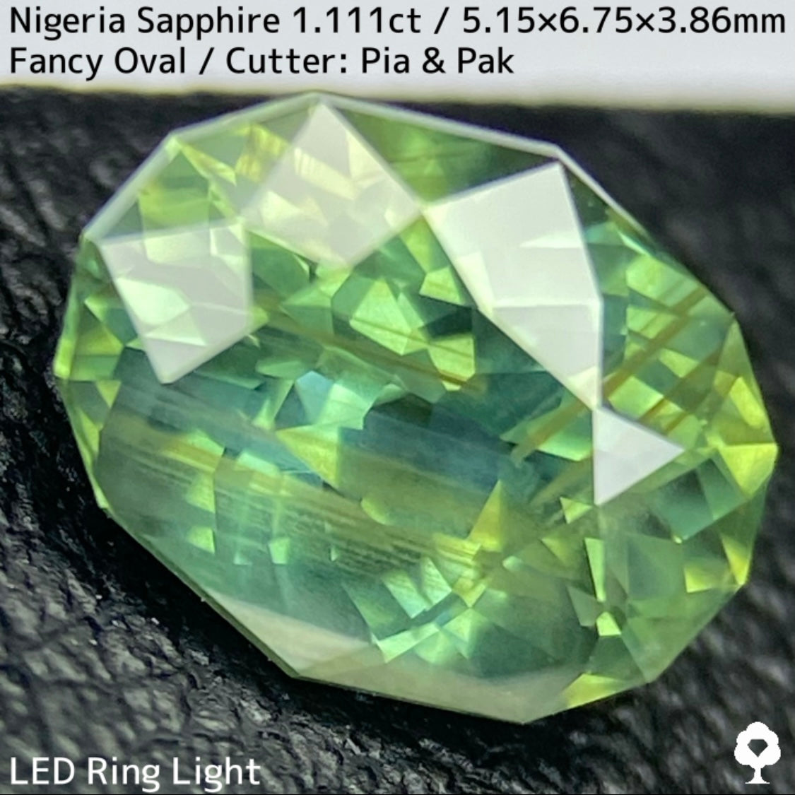 ナイジェリア産サファイア1.111ct★ゴールドのラインが美しいたまらなく面白いシルキーブルーイッシュグリーン
