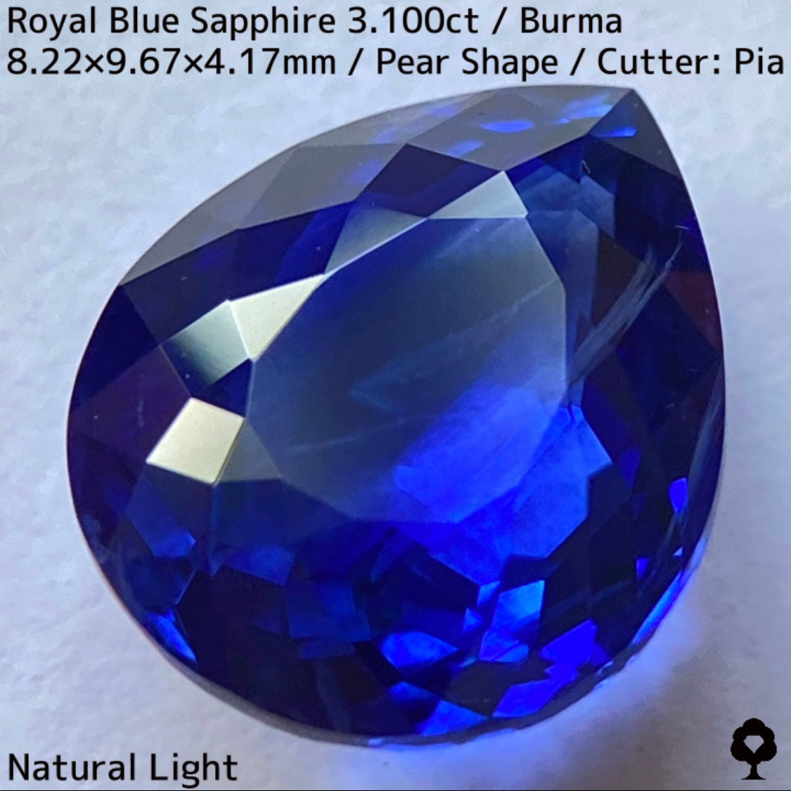 ビルマ産ロイヤルブルーサファイア3.100ct★ふっくらとした可愛いペアシェイプに仕上げられた趣ある超美色ロイヤルブルー