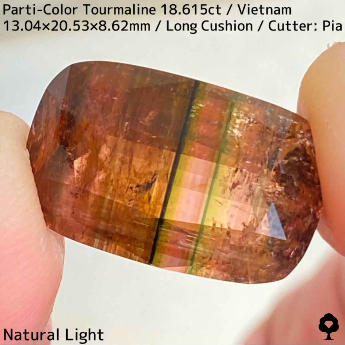 ベトナム産パーティカラートルマリン18.615ct★金屏風桜と夜桜を一石で楽しめる趣深いベトナム巨石