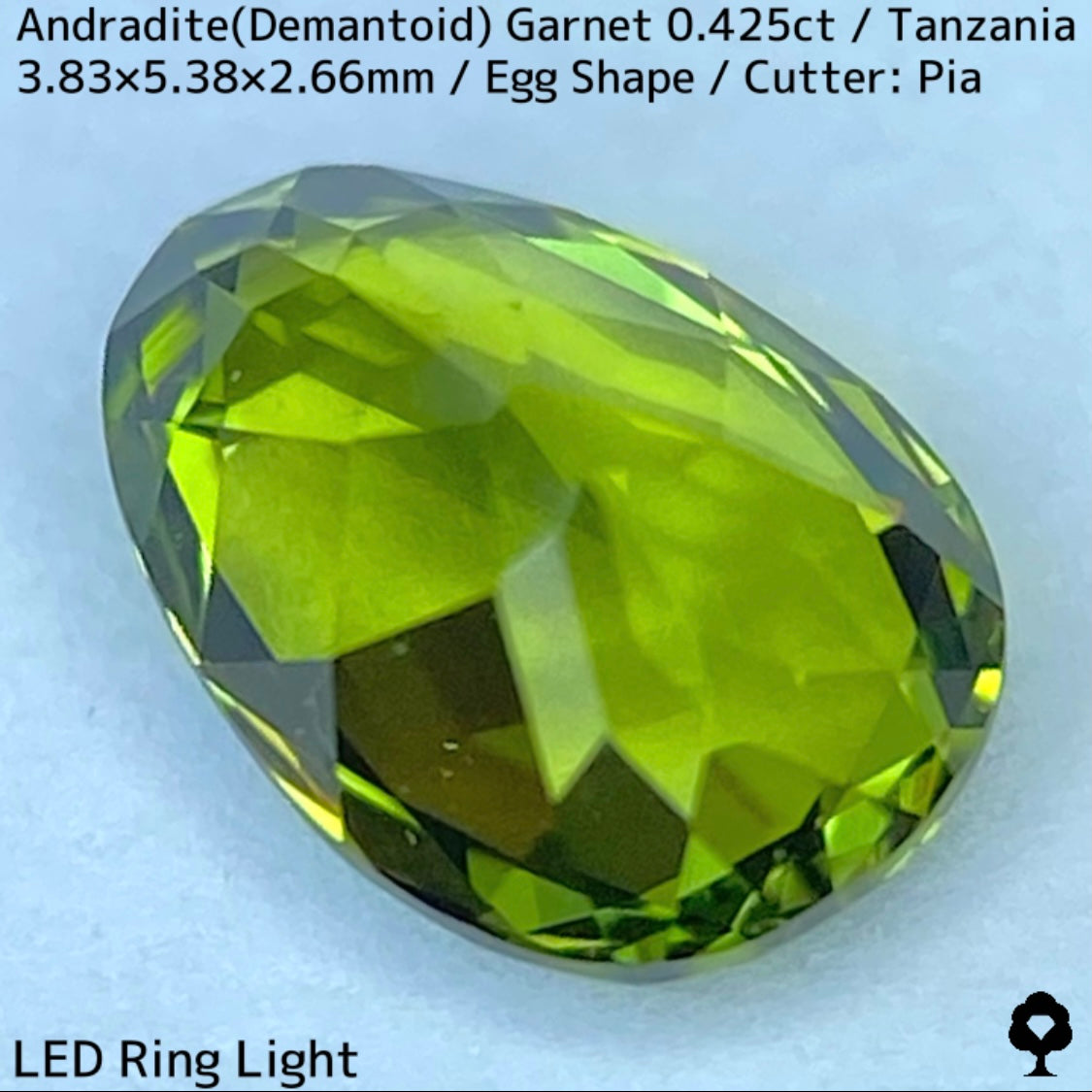 タンザニア産アンドラダイト(デマントイド)ガーネット0.425ct★程よい濃さの美グリーンから煌めき止まらないキュートなエッグシェイプ