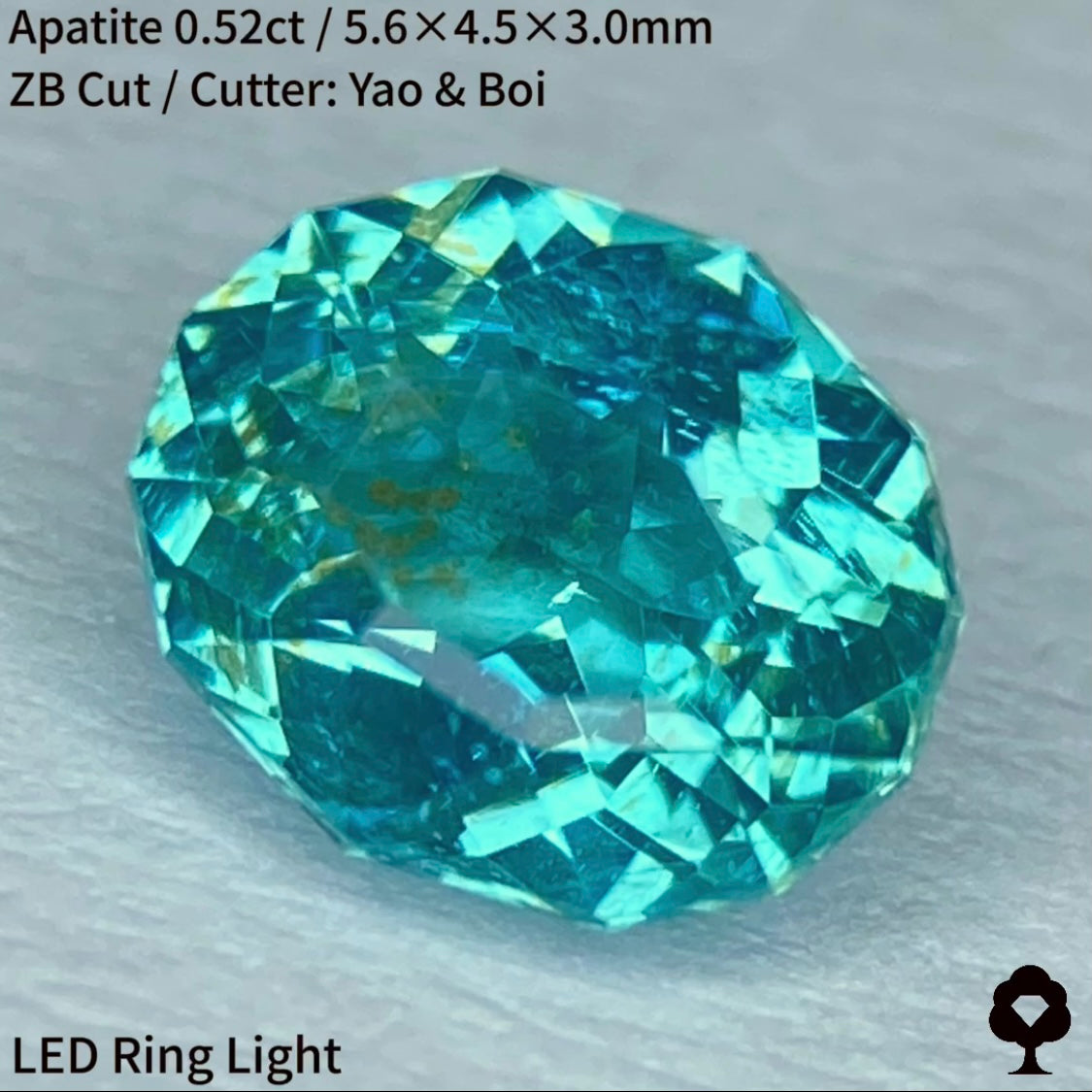 ネオン感あるマリンブルーに金木犀のようなインクルージョン★アパタイト0.52ct