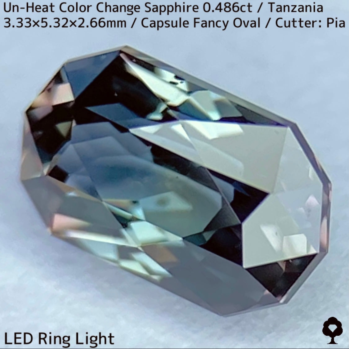 タンザニア産非加熱カラーチェンジサファイア0.486ct★深みの中に潜む多色感とゴールドシルクの銀河広がる