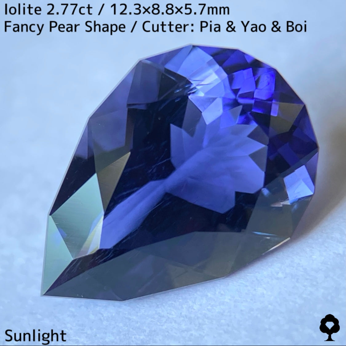【お客さま専用】アイオライト2.77ct★お問合せ特別価格