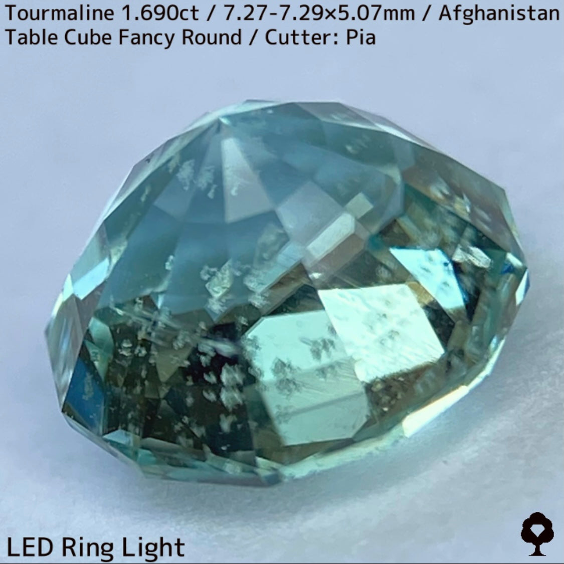 トルマリン1.690ct★美色ミントグリーンの煌めきがギラつくスパイダーカット