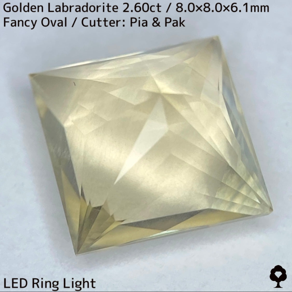 ゴールデンラブラドライト2.60ct★折り重なるラインのシラーとプリンセスのシャープなカットが美しい★同じロットの原石付き