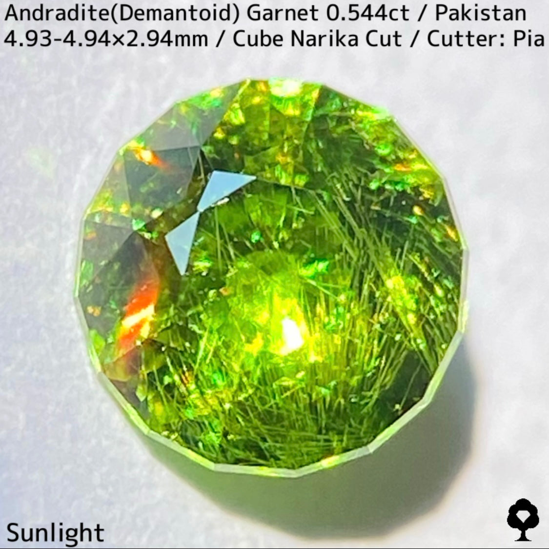 パキスタン産アンドラダイト(デマントイド)ガーネット0.544ct★ナリカーカットに渦巻くホーステールがたまらない美色グリーン
