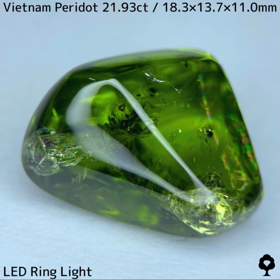 ベトナム産ペリドット原石21.93ct★美色結晶の中に虹が広がりリリーパッド浮かぶツヤツヤ原石