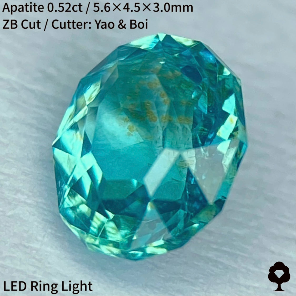 ネオン感あるマリンブルーに金木犀のようなインクルージョン★アパタイト0.52ct