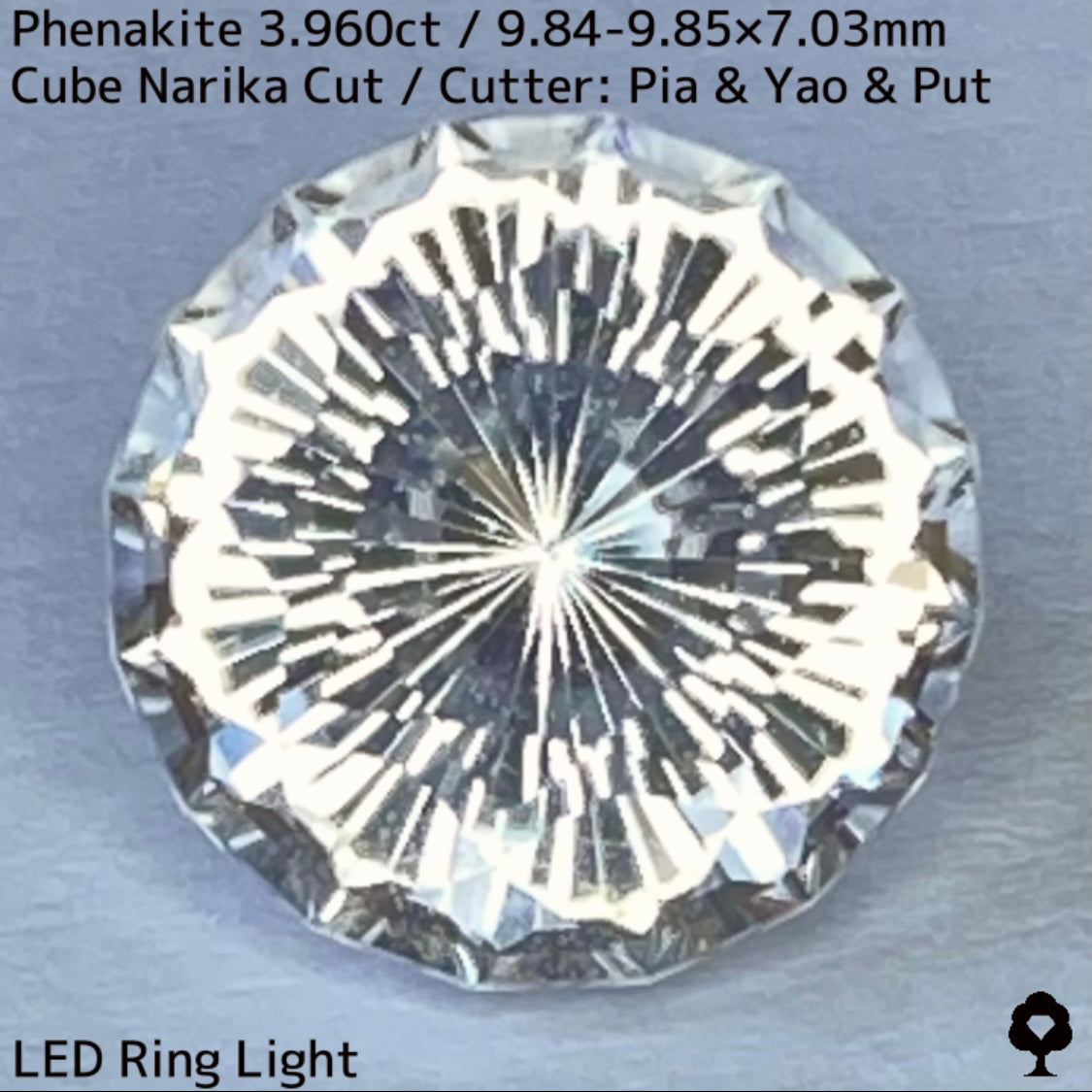 粉雪の舞う雪景色のような凛とした美しさの大粒レアストーンナリカーカット★フェナカイト3.960ct