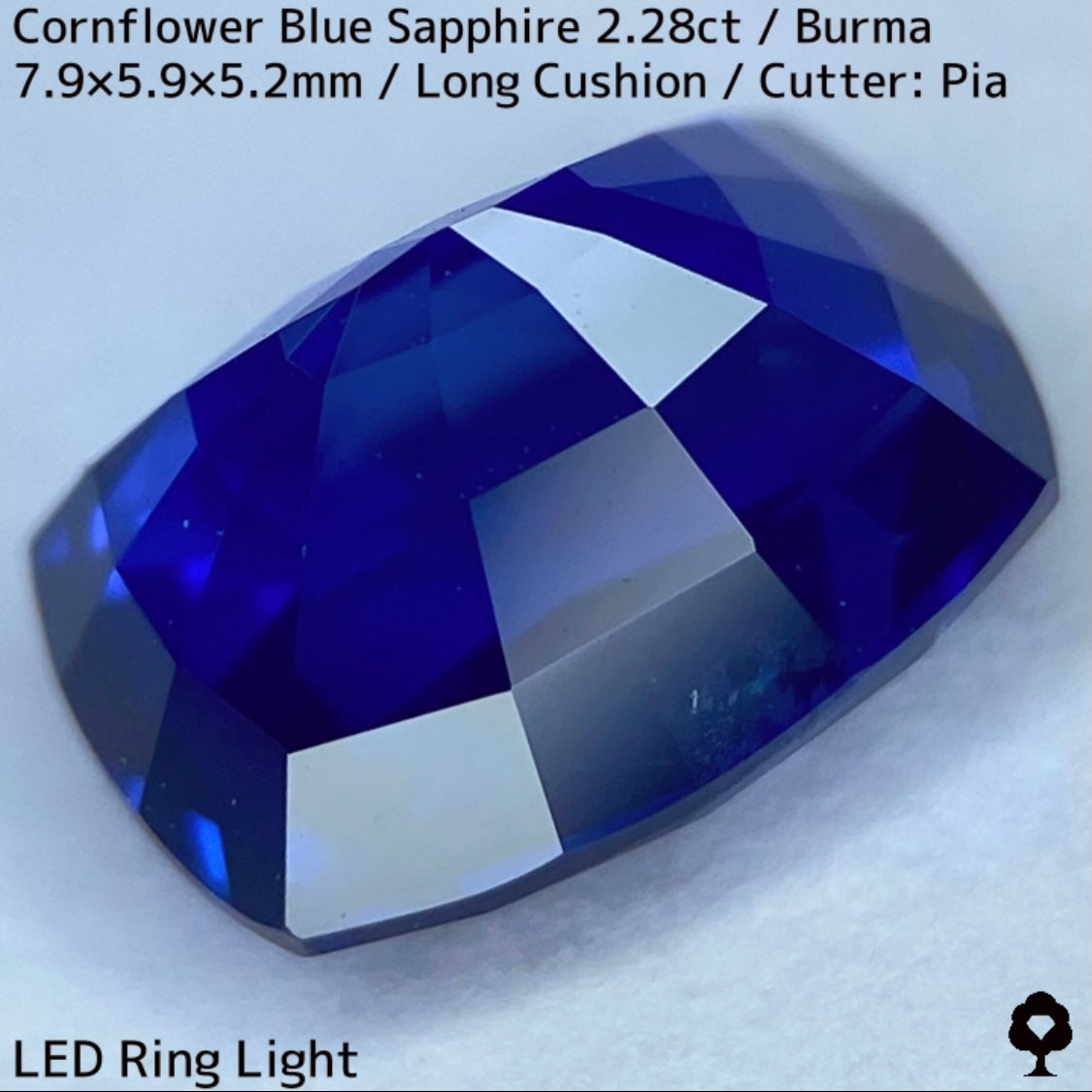 ビルマ産コーンフラワーブルーサファイア2.28ct★シルキー感も色合いもプロポーションも最高の希少ビルマ産