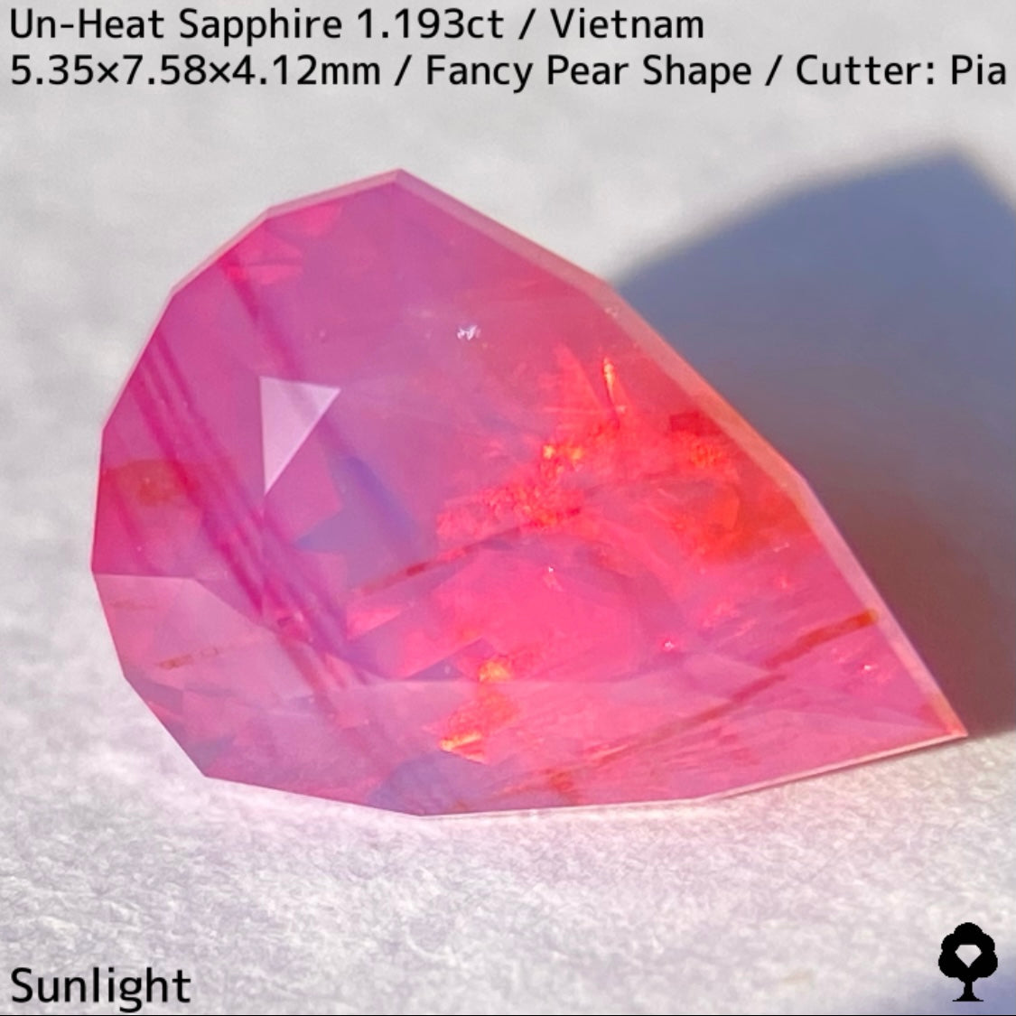 【ご当選者さま専用】ベトナム産非加熱サファイア1.193ct★コランダムフォーカス抽選販売プライス